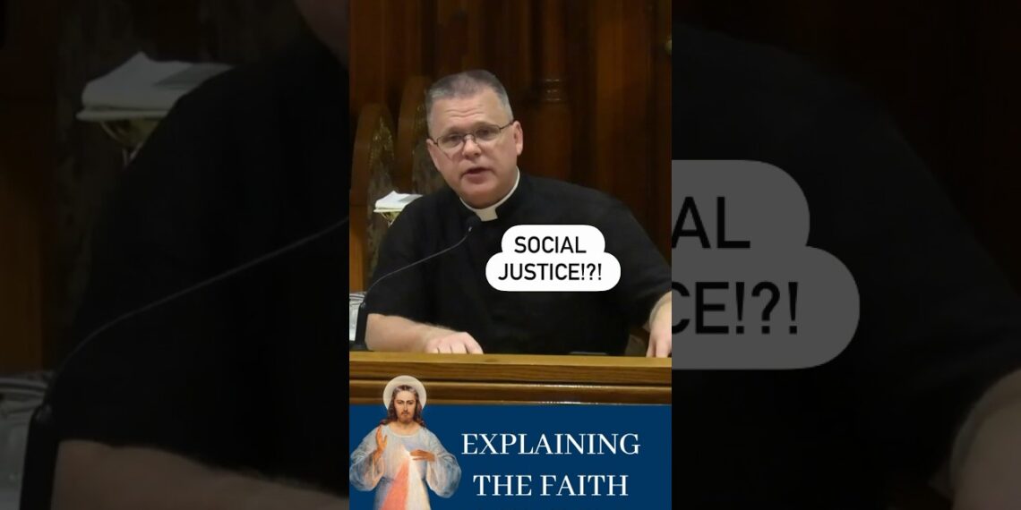 Catholic social teaching and the woke movement. #divinemercy #frchrisalar #woke #christian