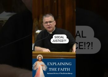 Catholic social teaching and the woke movement. #divinemercy #frchrisalar #woke #christian