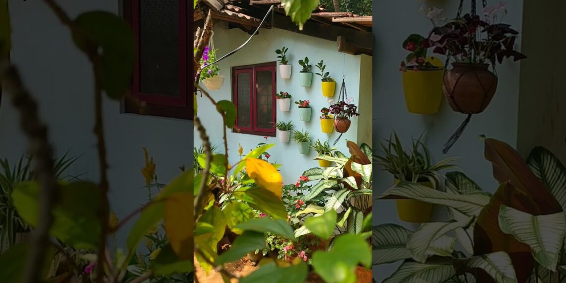 Wall decor ideas | cute self watering wall hanging pots #gardendecor #gardeningideas #diygarden