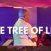The Tree of Life (Part Seven) | Pastor Dane Mesane | Christ Culture Church