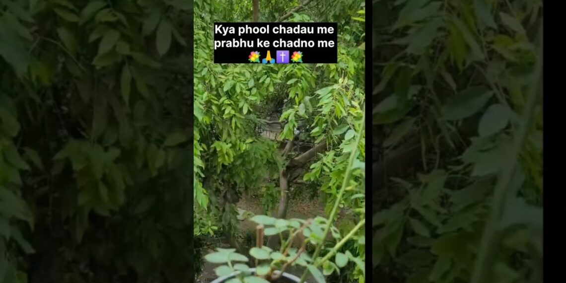 Kya phool chadau me 💐✝️ #shorts #jesus #hindi #song #love